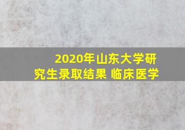 2020年山东大学研究生录取结果 临床医学